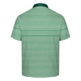 thumbnail image 4 of DayScoop Plus Size T-Shirt for Men Solid Color T Shirt Summer Short Sleeve Casual Fashion Buttons Striped Dry Sporty Breathable Turndown Collar Tops, 4 of 5