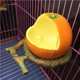 thumbnail image 3 of Alimentador De Copa De Pájaro Con Forma De Fruta Creativa, Comedero Para Jardín, Cuencos Para Beber Para Mascotas Para Pájaros Scienceny PT000781-00, 3 of 6