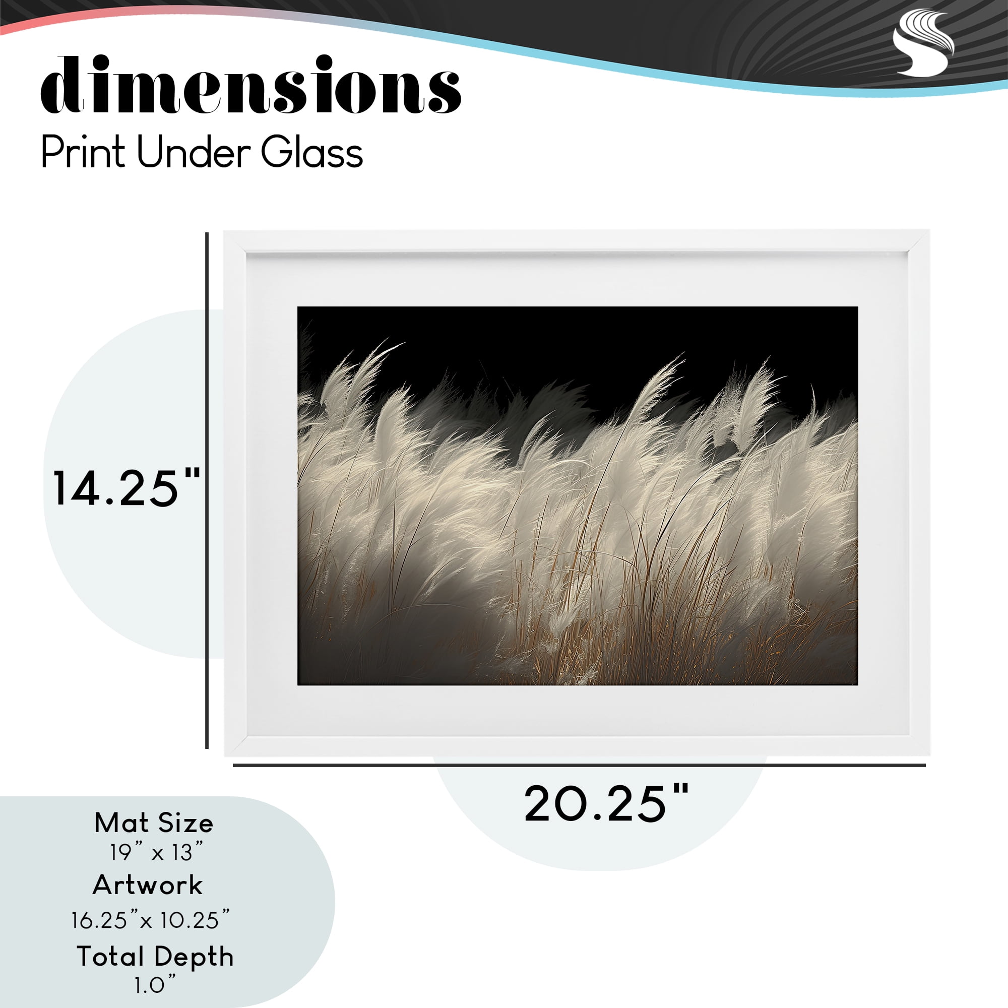 White Feathers Windblown Grasses White Framed Print Under Glass, design by Decent Exposures