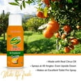 OdoBan 10 oz. Orange Real Citrus Air Freshener Spray, Citrus Oil