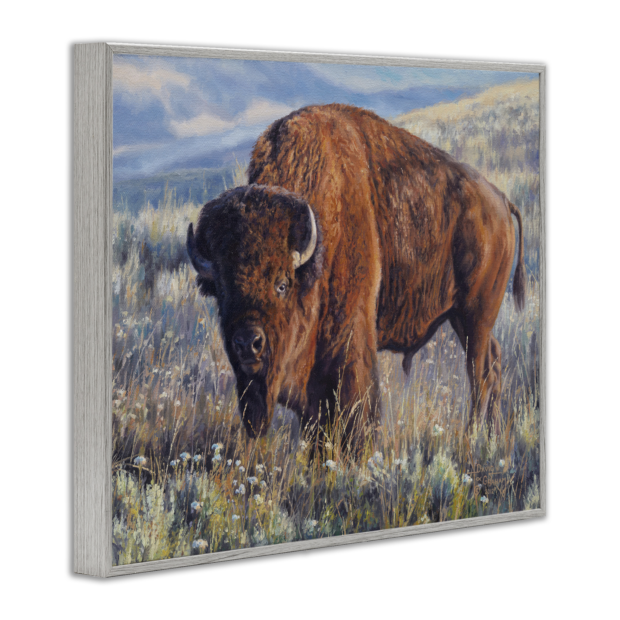 Stupell Industries Prairie King Bison Landscape Photography Gray Framed Art Print Wall Art, 30 x 24
