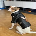 thumbnail image 3 of Glorious Eagle Pattern Dog Coat PU Leather Jacket Soft Waterproof Outdoor Puppy Outerwear Fashion Clothes For Small Pet(XXS-XXL) ShopWise Round, 3 of 7