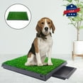 thumbnail image 5 of Coziwow 25" x 20" Artificial Grass Puppy Dog Pee Pad Pet Potty Training Toilet W/Tray Indoor Outdoor, 5 of 14