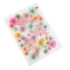 thumbnail image 1 of Hojas Secas Prensadas Naturales Zulema Flores Secas para Manualidades, 1 of 6