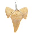 thumbnail image 4 of Colgantes Charm Bright Creations con forma de diente de tiburón, 12 unidades, 2 x 2,5 cm, 4 of 5