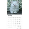 thumbnail image 3 of I Love Kittens | 2026 12x24" (Hanging) Square Wall Calendar | Plastic-Free, 3 of 9