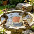 thumbnail image 1 of Bird Bath Plate Decorative Purification Plate with Support Points Natural All Weather Water Suitable for Outdoor Bird Bath Tubs and Bowls Multiple Choices, 1 of 4