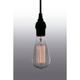 thumbnail image 4 of Lila Adjustable Height 1-light Black Finish Edison Lamp with Bulb, 4 of 4