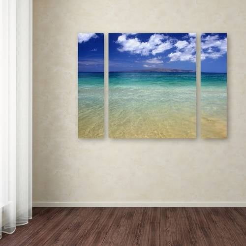 Trademark Fine Art "Hawaii Blue Beach" Canvas Art by Pierre Leclerc Three Panel Set