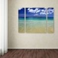 thumbnail image 3 of Trademark Fine Art "Hawaii Blue Beach" Canvas Art by Pierre Leclerc Three Panel Set, 3 of 3
