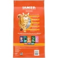 thumbnail image 3 of Iams Proactive Health Salmon Flavor Dry Cat Food For Adult Cats, 7 Lb Bag, 3 of 17