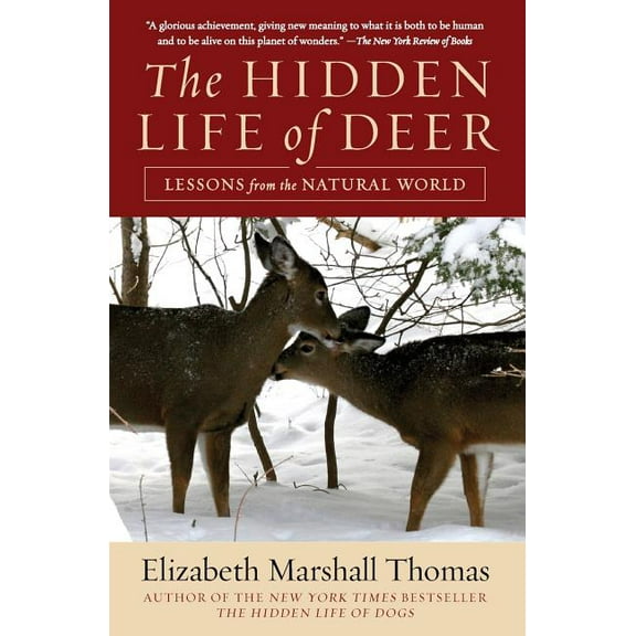 The Hidden Life of Deer, (Paperback)