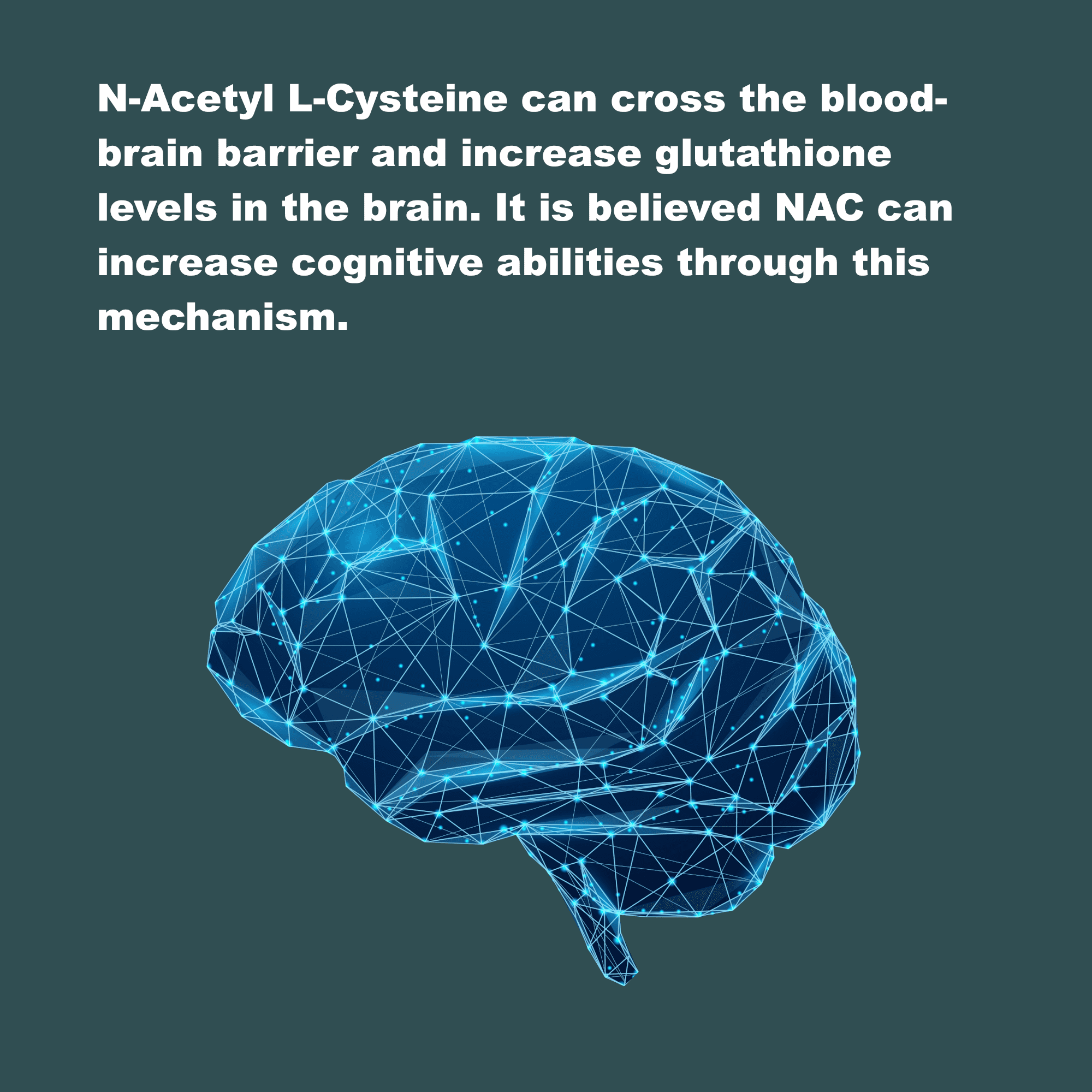 LifeLink's NAC (N-Acetyl L-Cysteine) | 600 mg x 120 capsules | Antioxidant, Anti-Aging, Immunity | Gluten Free & Non-GMO | Made in the USA