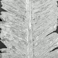 thumbnail image 3 of Metallic Feather, Silver Shadow Box, 3 of 5