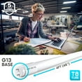 thumbnail image 4 of Luxrite 4FT T8 LED Tube Light, Ballast and Ballast Bypass, 13W, 5000K Bright White, F32T8, Damp Rated 4 Pack, 4 of 6