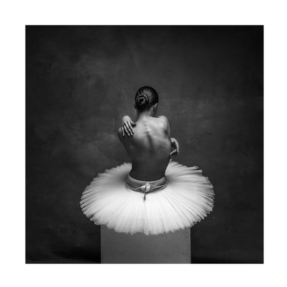 Canvas Wall Art - Alexander Yakovlev 'Grace' Wall Art for Living Room, Bedroom, or Office Décor by Trademark Fine Art - 14 x 14 Inches