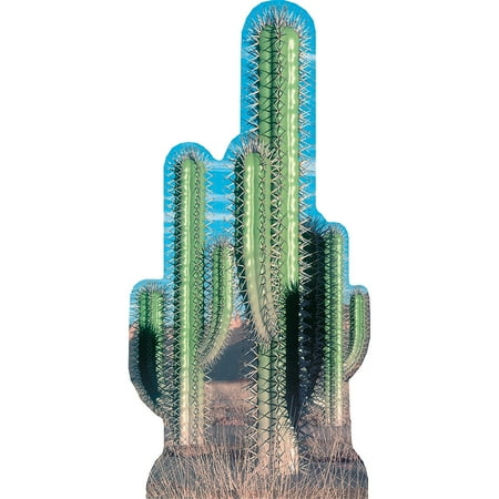 Pair Cactus Cardboard Stand-Up, Party Decor, Birthday, Party Favors, 1 Pieces