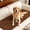 Brown Coffee, variant on MK Gdledy Pet Couch Cover Dogs Washable Non-Slip Couch Protector Pet Friendly Dog Mat for Couches and Sofas Comfortable