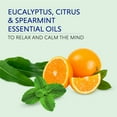 thumbnail image 2 of Dr Teal's Aromatherapy Stress Relief Salt Crystals with Eucalyptus, Citrus, & Spearmint, 25oz, 2 of 6