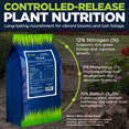 thumbnail image 3 of Supply Solutions 12-6-6 Ornamental Booster Fertilizer - Plant Food Topdress on Foliage, Nurseries and Landscapes - Controlled Release NPK Plant Fertilizer with Macro and Micro Nutrients (10lbs), 3 of 7