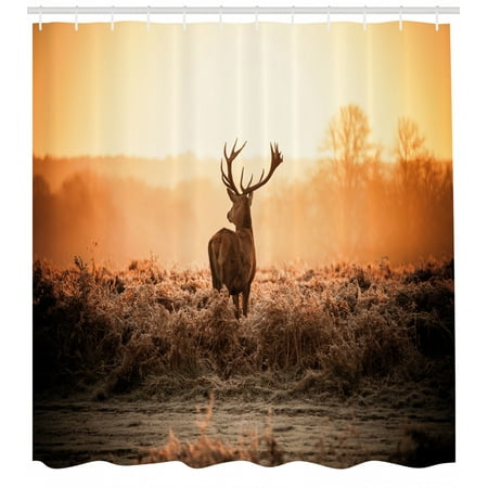 Hunting Shower Curtain Red Deer In The Morning Sun Wilderness