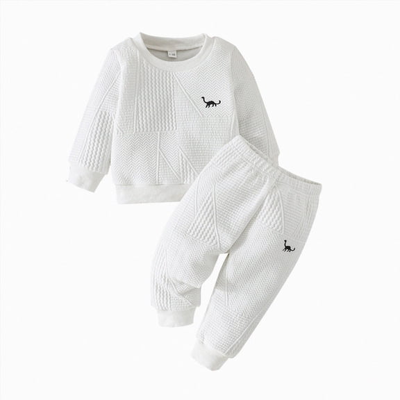 KPOPLK 6 9 12 18 Months 2T 3T Toddler Baby Boy Clothes Outfits Fall Winter Pullover Long Sleeve Solid T-Shirt Pants 2 Piece Set White Size 2-3 Years