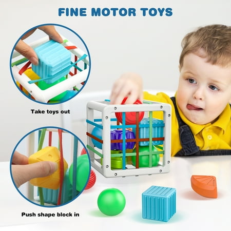 Toddler Toys for 1 2 3 Year Old Boys Girls,Baby Sorter Toys Colorful Cube with 8 Pcs Multi Sensory Shape,Learning Toys for Toddler Age 2-4,Montessori Toys for 1 2 Year Old,Gifts for 2 3 4 Year Old