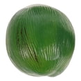 thumbnail image 1 of Cocos simulados, accesorio para fotos, modelo de cocos falsos, fruta tropical de plástico, 1 of 7