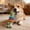 Green, variant on Dog Chew Toys,Dog Chew Bones,Puppy Teething Toy, Durable Chew Toy for Small Dogs, Interactive Bone Toy to Keep Puppies Busy, Teeth Cleaning Dog Toy for Small Breeds(Pink)