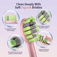 thumbnail image 2 of OasiSmile Sonic Electric Toothbrush for Adults, Rechargeable Travel Tooth Brush with 6 Brush Heads, 42000 VPM Deep Clean 4 Modes 120-Day Battery, Pink, 2 of 7