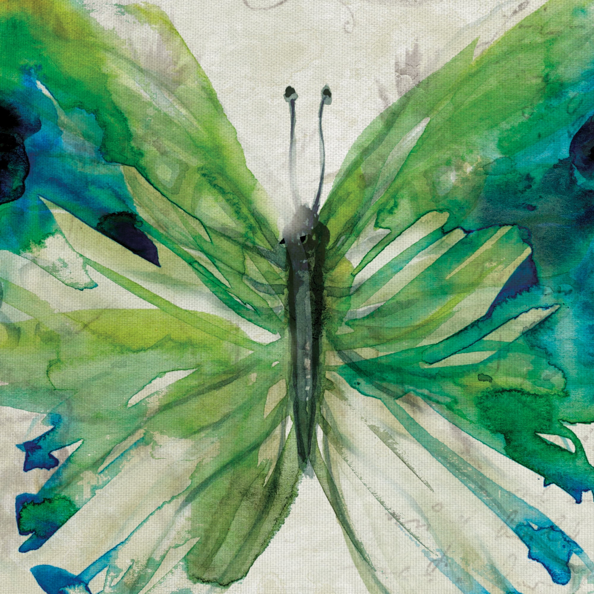 Butterfly Sketch I & II by Carol Robinson Canvas Art Painting Print Set of 2