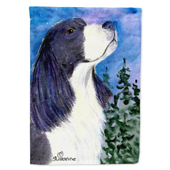 Caroline's Treasures SS8985-FLAG-PARENT English Springer Spaniel Flag, , multicolor
