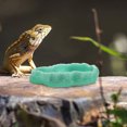 thumbnail image 1 of unbranded 2Ud De Y Comida Para Reptiles Con Material Resistente Y Funcional, 1 of 8