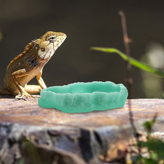 unbranded 2Ud De Y Comida Para Reptiles Con Material Resistente Y Funcional