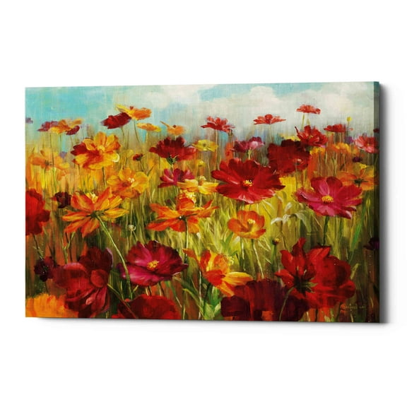 Epic Graffiti  'Cosmos in the Field' by Danhui Nai, Giclee Canvas Wall Art - Orange 16" x 12"