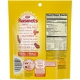 thumbnail image 4 of Nestle Raisinets Milk Chocolate with Covered Raisins, 8 oz., 4 of 9