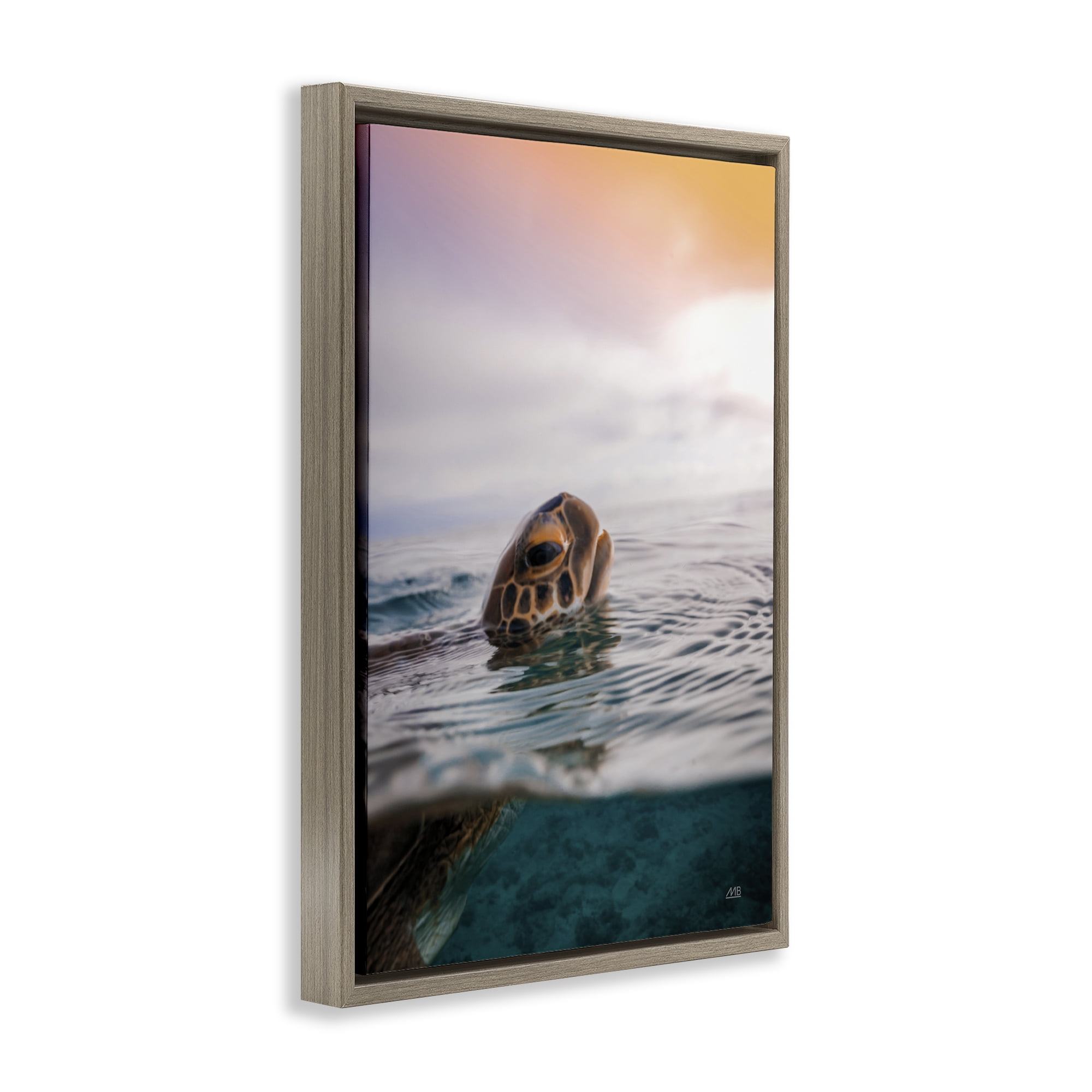 Stupell Industries Turtle Swim at Sunrise Animals Photography Brown Floater Framed Canvas Art Print Wall Art, 21 x 31