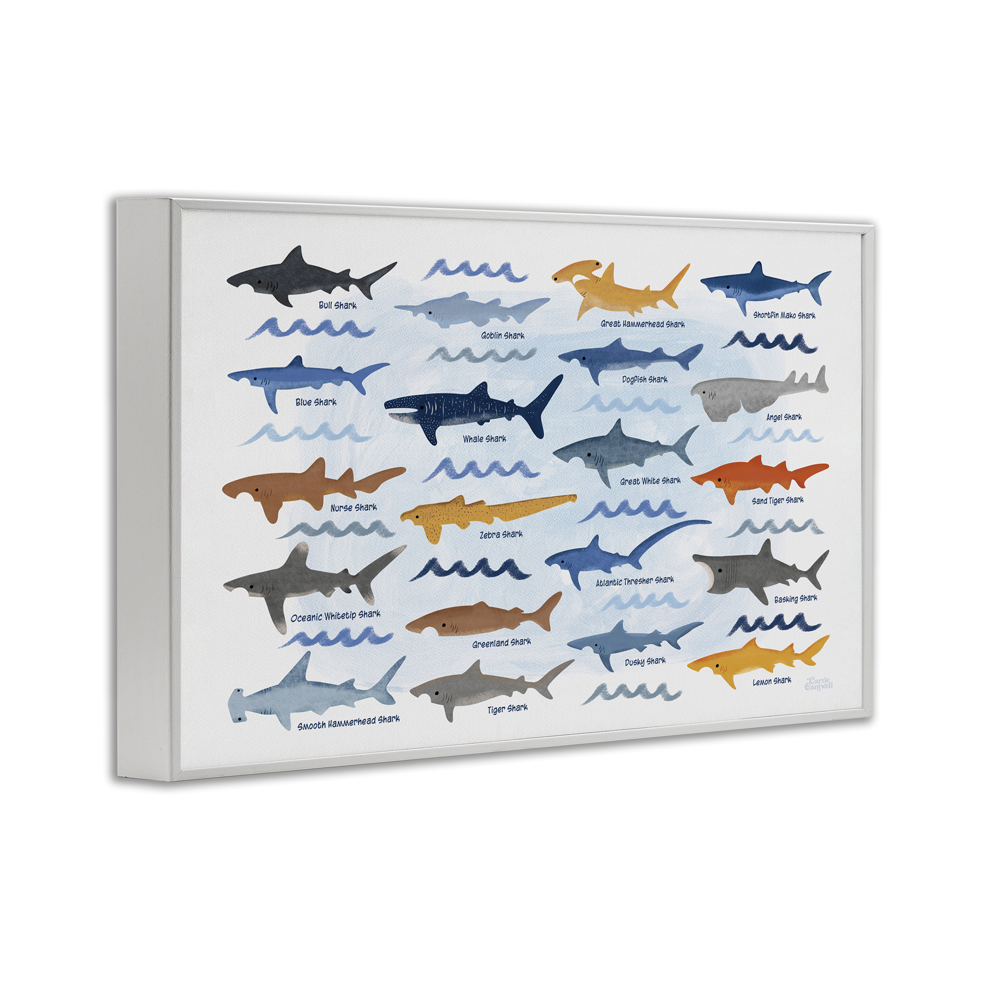 Stupell Industries Various Shark Breeds Coastal Painting White Framed Art Print Wall Art, 30 x 20