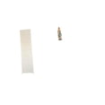 thumbnail image 1 of Pantalla de lámpara de pie,Lámpara de estudio minimalista con pantalla,Estatua de Lutero,Estatua de la Virgen María Figura Colección Religiosa,Figura de resina y Señora de Lutero, 1 of 8