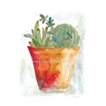 thumbnail image 1 of Terracotta Cactus Poster Print by Carol Robinson, 11 x 14 - Small, 1 of 1