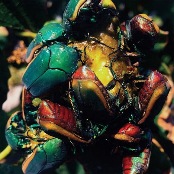 Tajak - Ciclos - Music & Performance - Vinyl