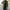 Green, variant on Wefuesd Trench Coat Men, Men Slim Winter Coat Lapel Collar Long Sleeve Padded Leather Jacket Vintage Thicken Coat Sheepskin Jacket, Mens Sweater, Mens Winter Coats, Heated Jackets for Men Black L