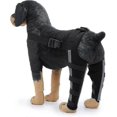 thumbnail image 1 of par de ortesis para patas traseras de perro, ideal para curar heridas en las patas, prevenir lesiones articulares y esguinces. Vendaje para articulaciones de perros., 1 of 5