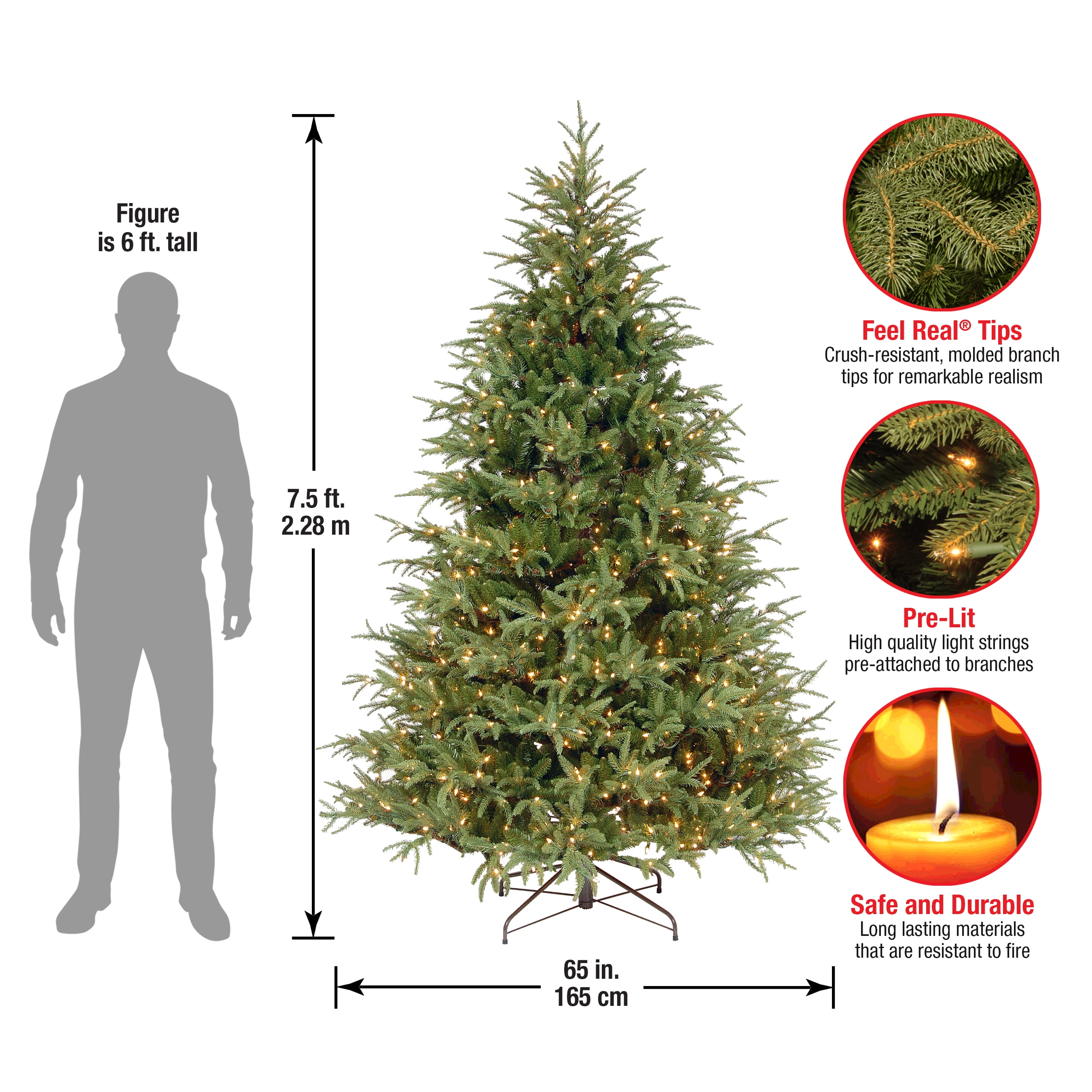 National tree 2024 company frasier grande