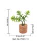 thumbnail image 1 of Mini simulación tridimensional de plantas en macetas con múltiples carnes, simulación de clip para automóvil en maceta, pegatina para refrigerador, corcho de vino tinto, decoración del hogar, 1 of 6