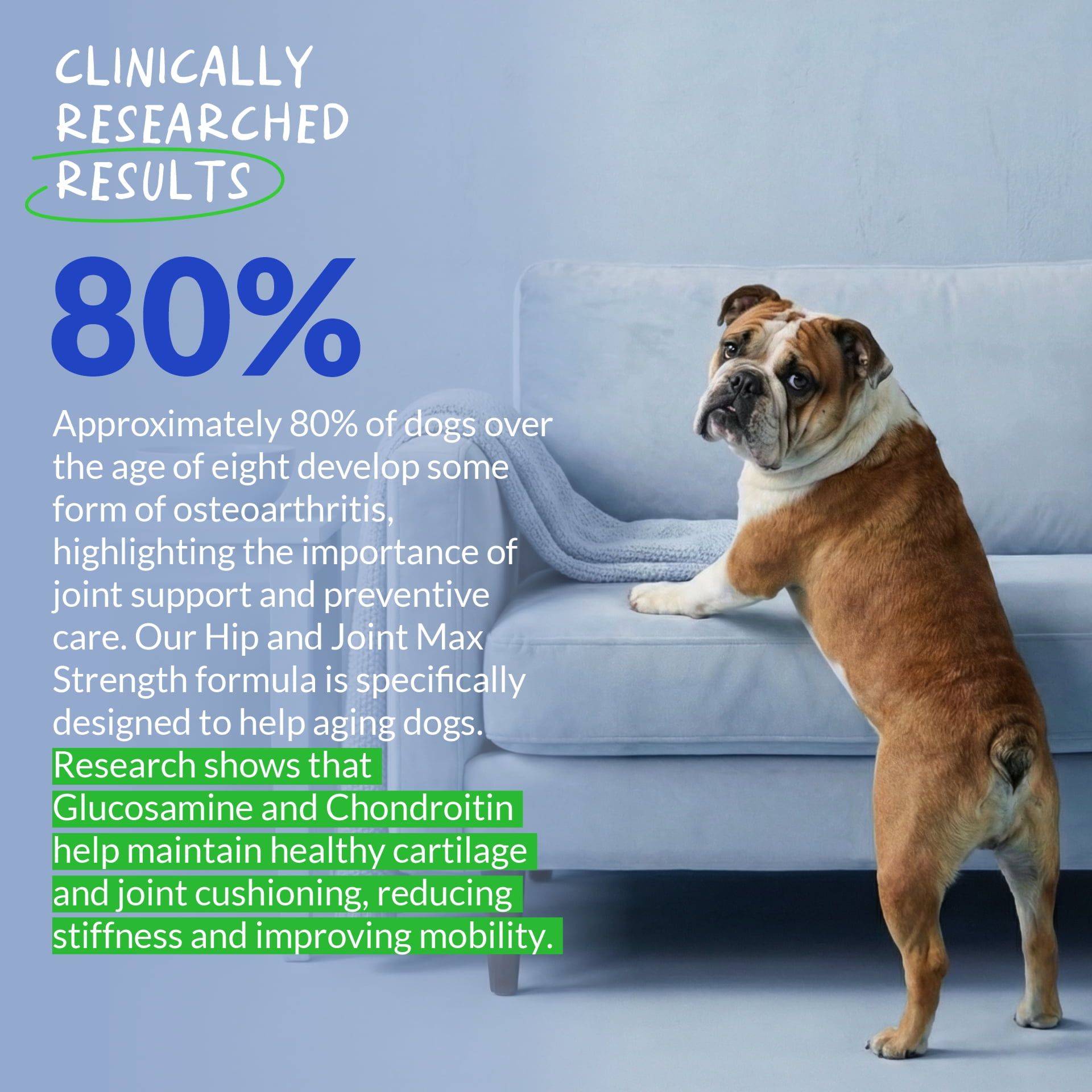 Hip and Joint Support for Dogs - Hyaluronic Acid for Dogs - 90 Soft Chews
