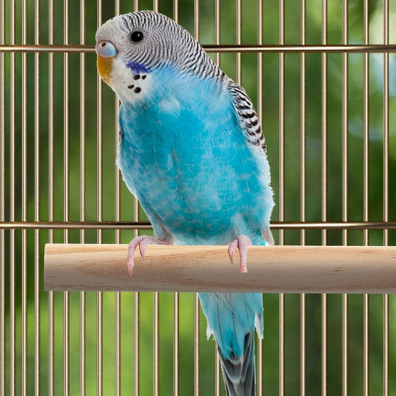 OUNONA 1 Set of Interesting Parrot Perches Wooden Bird Stands Rectangular Bird Perches Parrot Supply