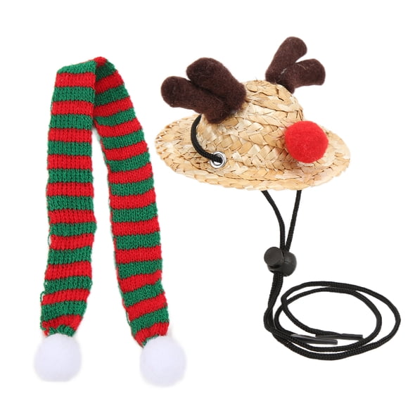 Decoración de reptiles, gorro de Papá Noel con forma de dragón barbudo, conjunto de bufanda y sombrero de paja para reptiles, ropa de disfraz de Navidad para reptiles, rendimiento finamente ajustado