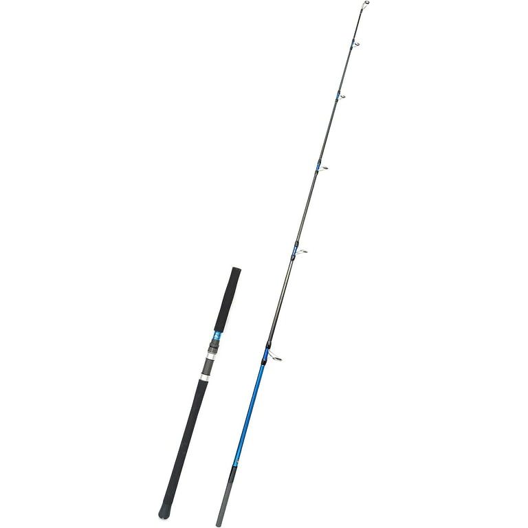 BLUEWING Bluefin Spinning Fishing Rod 2 Pieces Lightweight Carbon Fiber  Fishing Pole with Fuji K-series Stainless Steel Guides for Inshore Fishing