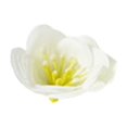 thumbnail image 2 of YIKA Festival Decorations Simulation Flower Head Plastics Flower Head Decoration DIY Handmade Fake Flower Material Simulation Flower Decoration Bouquets Decoration, 2 of 6